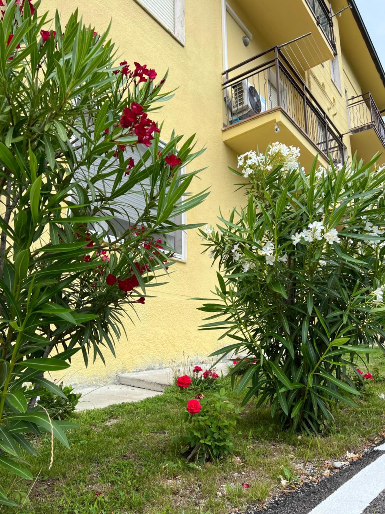 Casa R&E Βίλα Valbrona Εξωτερικό φωτογραφία